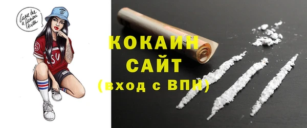 Альфа ПВП Аркадак