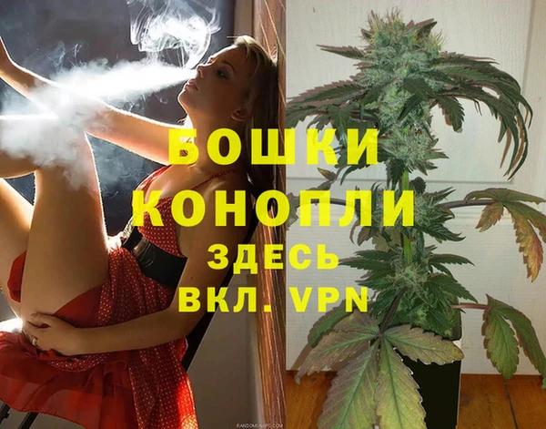Альфа ПВП Аркадак