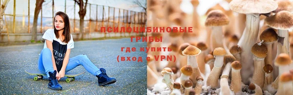 каннабис Армянск